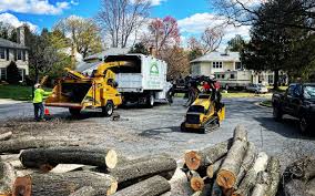 Best Tree and Shrub Care  in Highland Lakes, NJ