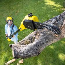 Best Tree Removal Service  in Highland Lakes, NJ